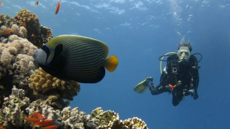 Nurkowanie Scuba Diving — czym wyróżnia się ten rodzaj nurkowania?