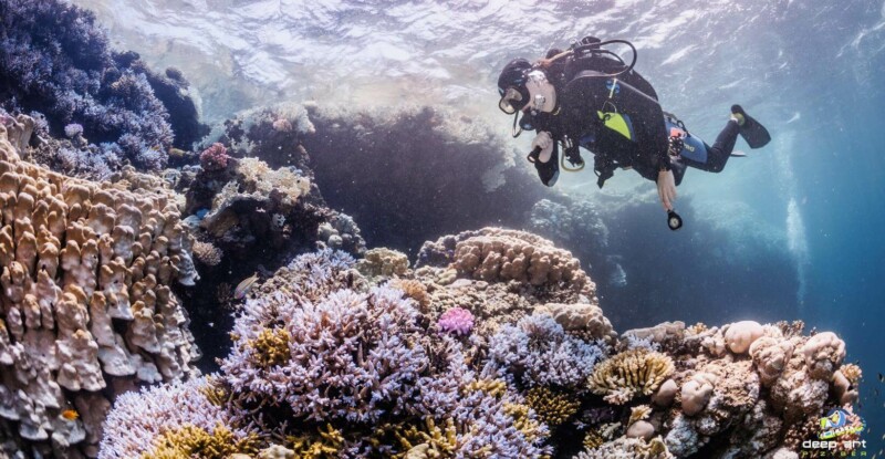 Nurkowanie Scuba Diving (z butlą) – jaki kurs nurkowy PADI trzeba odbyć aby zostać Scuba Diverem?