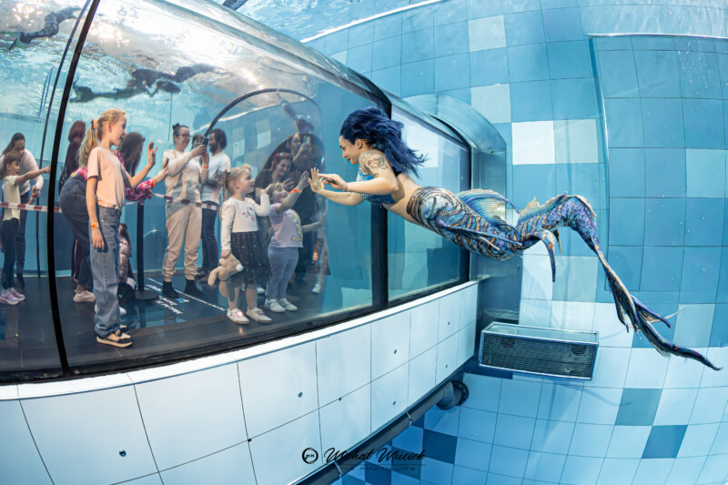 Deepspot Mermaid Club