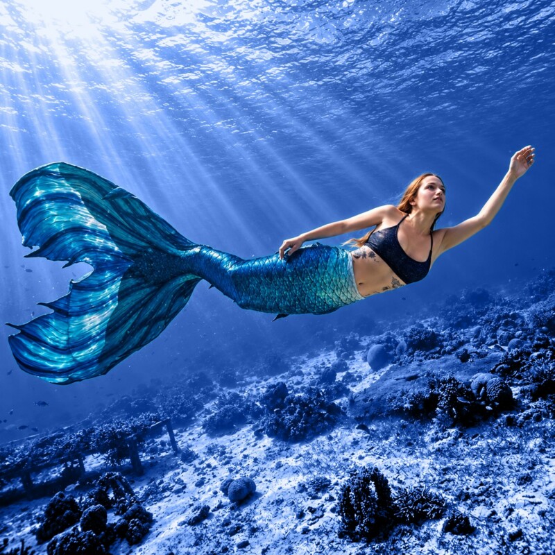 Kurs Mermaid + Mermaid Ocean